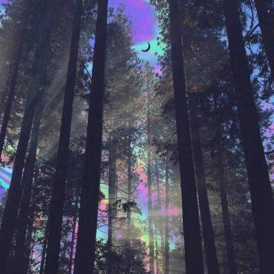 赢三张免费游戏app下载截图