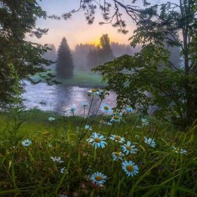 j9九游会下载截图