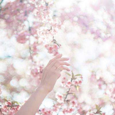 金沙乐娱场app下载下载手机版