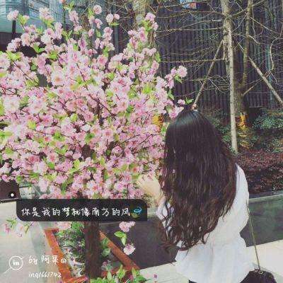 彩信平台官网app下载截图